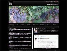 Tablet Screenshot of non-solo-vino.net